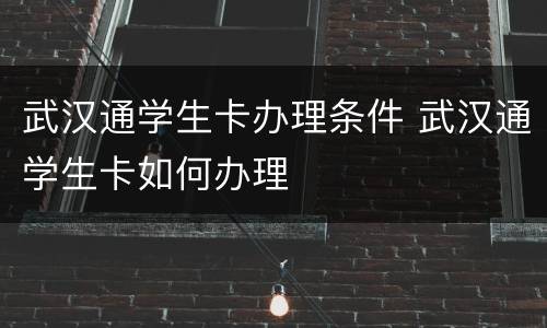 武汉通学生卡办理条件 武汉通学生卡如何办理