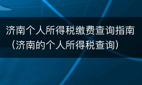 济南个人所得税缴费查询指南（济南的个人所得税查询）