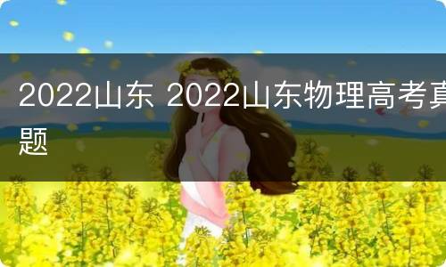 2022山东 2022山东物理高考真题