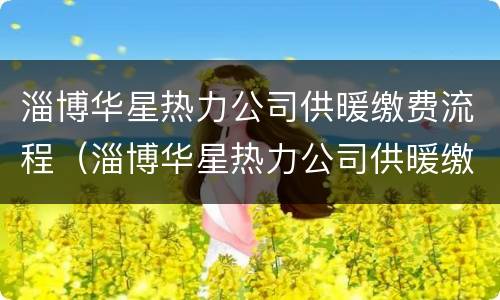 淄博华星热力公司供暖缴费流程（淄博华星热力公司供暖缴费流程视频）