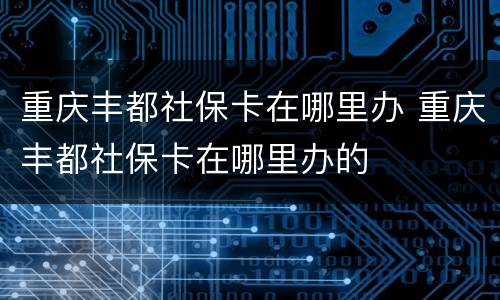 重庆丰都社保卡在哪里办 重庆丰都社保卡在哪里办的