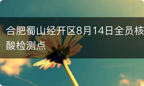 合肥蜀山经开区8月14日全员核酸检测点