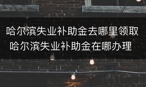 哈尔滨失业补助金去哪里领取 哈尔滨失业补助金在哪办理
