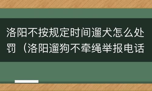 洛阳不按规定时间遛犬怎么处罚（洛阳遛狗不牵绳举报电话）