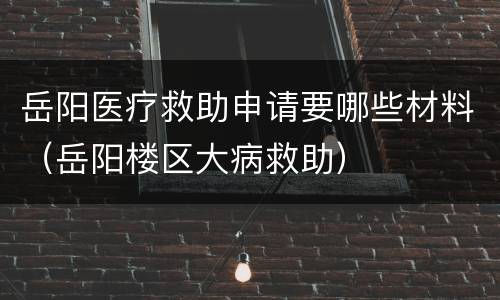 岳阳医疗救助申请要哪些材料（岳阳楼区大病救助）