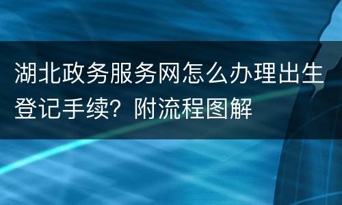 湖北政务服务网怎么办理出生登记手续？附流程图解