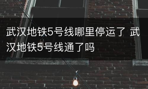 武汉地铁5号线哪里停运了 武汉地铁5号线通了吗