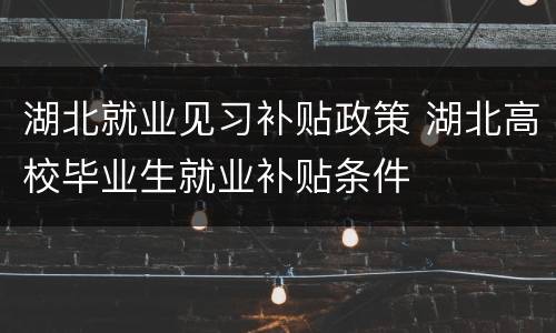湖北就业见习补贴政策 湖北高校毕业生就业补贴条件