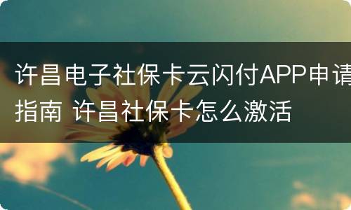 许昌电子社保卡云闪付APP申请指南 许昌社保卡怎么激活