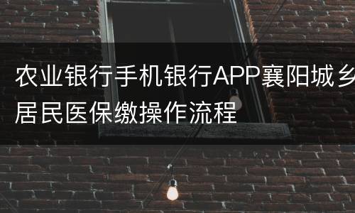 农业银行手机银行APP襄阳城乡居民医保缴操作流程