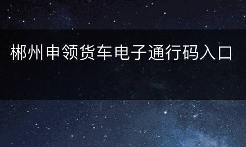 郴州申领货车电子通行码入口
