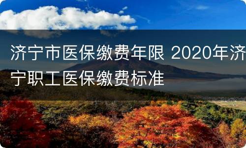 济宁市医保缴费年限 2020年济宁职工医保缴费标准
