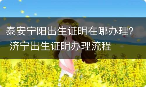 泰安宁阳出生证明在哪办理？ 济宁出生证明办理流程