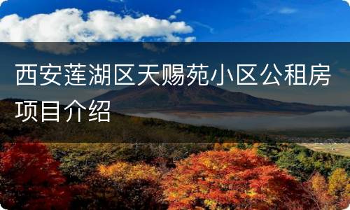 西安莲湖区天赐苑小区公租房项目介绍