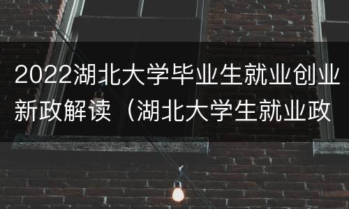 2022湖北大学毕业生就业创业新政解读（湖北大学生就业政策）