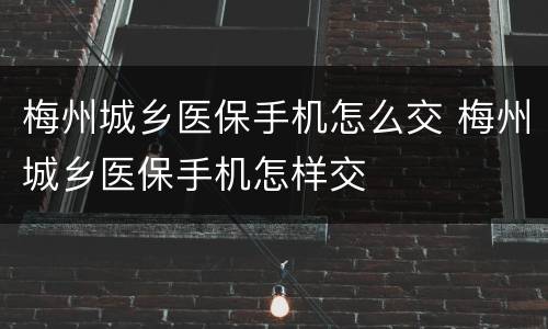 梅州城乡医保手机怎么交 梅州城乡医保手机怎样交