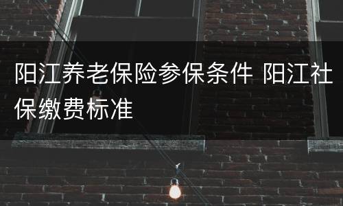 阳江养老保险参保条件 阳江社保缴费标准