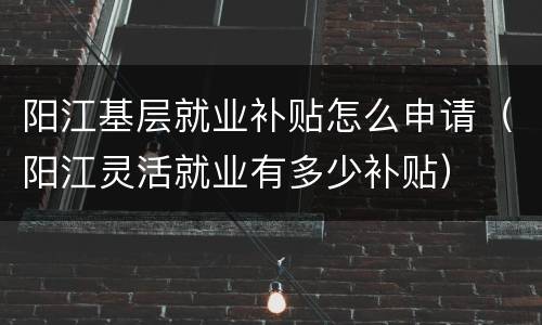 阳江基层就业补贴怎么申请（阳江灵活就业有多少补贴）
