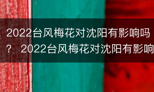 2022台风梅花对沈阳有影响吗？ 2022台风梅花对沈阳有影响吗视频