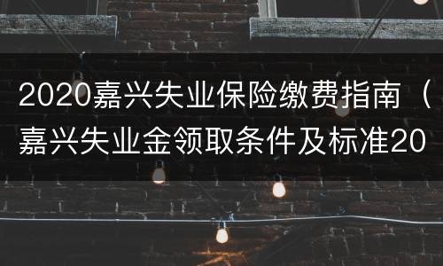 2020嘉兴失业保险缴费指南（嘉兴失业金领取条件及标准2021）
