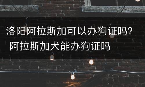 洛阳阿拉斯加可以办狗证吗？ 阿拉斯加犬能办狗证吗