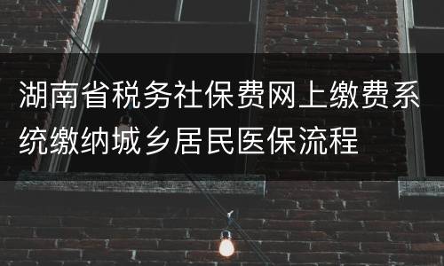 湖南省税务社保费网上缴费系统缴纳城乡居民医保流程