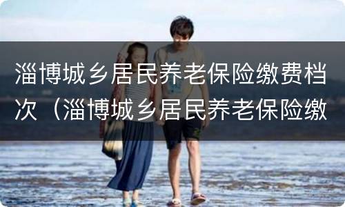 淄博城乡居民养老保险缴费档次（淄博城乡居民养老保险缴费档次表）