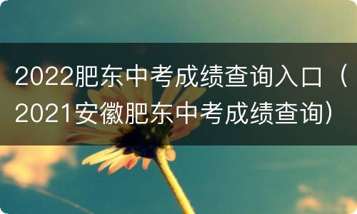 2022肥东中考成绩查询入口（2021安徽肥东中考成绩查询）