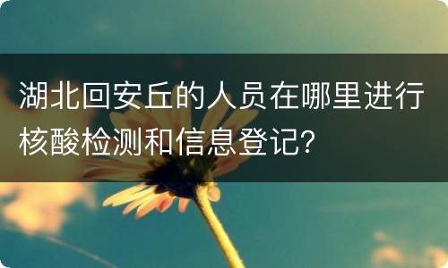 湖北回安丘的人员在哪里进行核酸检测和信息登记？