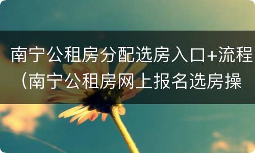 南宁公租房分配选房入口+流程（南宁公租房网上报名选房操作流程）