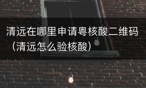 清远在哪里申请粤核酸二维码（清远怎么验核酸）