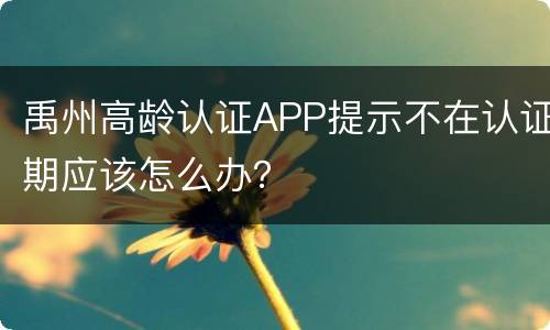 禹州高龄认证APP提示不在认证期应该怎么办？