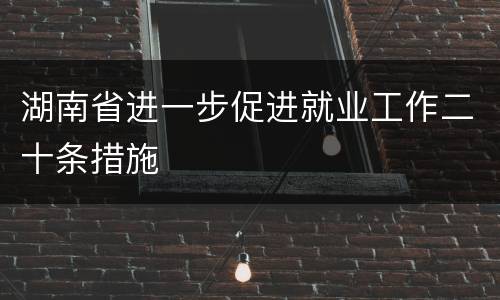 湖南省进一步促进就业工作二十条措施