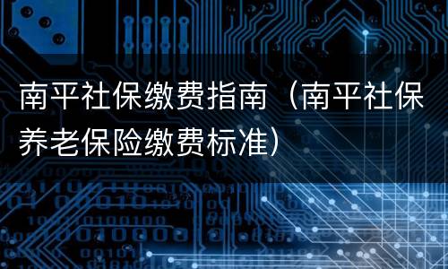 南平社保缴费指南（南平社保养老保险缴费标准）