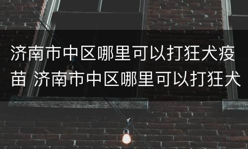 济南市中区哪里可以打狂犬疫苗 济南市中区哪里可以打狂犬疫苗的