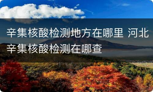 辛集核酸检测地方在哪里 河北辛集核酸检测在哪查