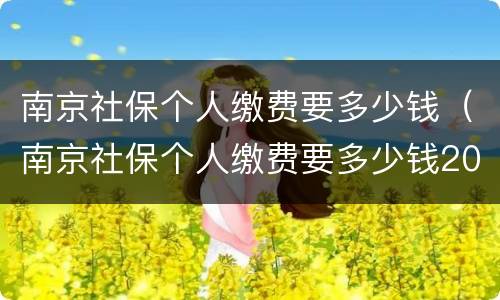 南京社保个人缴费要多少钱（南京社保个人缴费要多少钱2020）