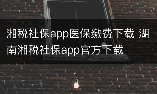 湘税社保app医保缴费下载 湖南湘税社保app官方下载