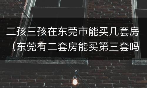 二孩三孩在东莞市能买几套房（东莞有二套房能买第三套吗）