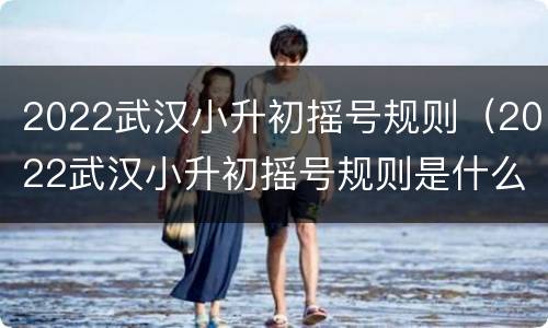 2022武汉小升初摇号规则（2022武汉小升初摇号规则是什么）