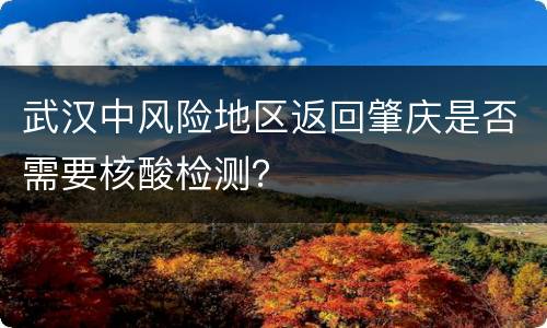 武汉中风险地区返回肇庆是否需要核酸检测？