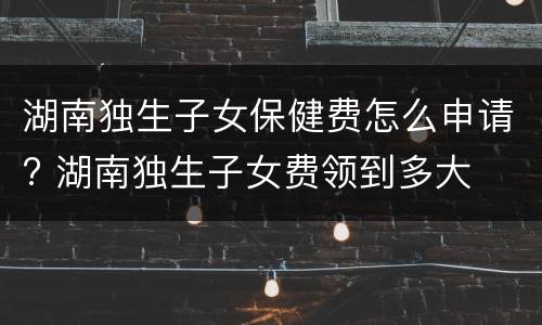 湖南独生子女保健费怎么申请? 湖南独生子女费领到多大