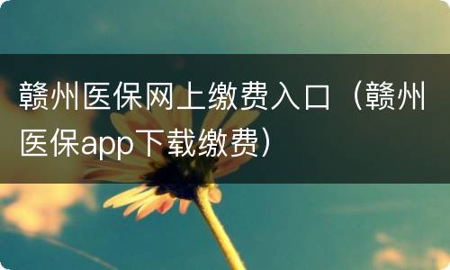 赣州医保网上缴费入口（赣州医保app下载缴费）