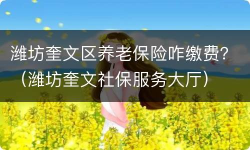 潍坊奎文区养老保险咋缴费？（潍坊奎文社保服务大厅）