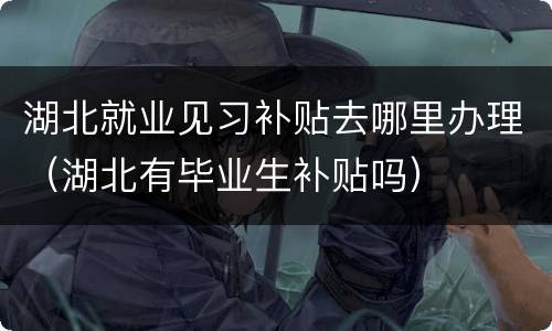 湖北就业见习补贴去哪里办理（湖北有毕业生补贴吗）