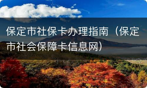 保定市社保卡办理指南（保定市社会保障卡信息网）
