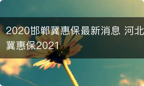 2020邯郸冀惠保最新消息 河北冀惠保2021