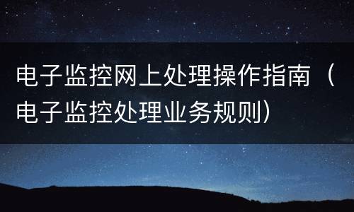 电子监控网上处理操作指南（电子监控处理业务规则）