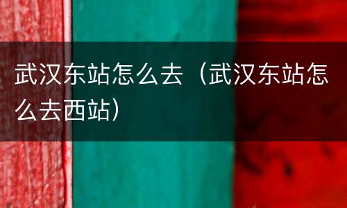 武汉东站怎么去（武汉东站怎么去西站）