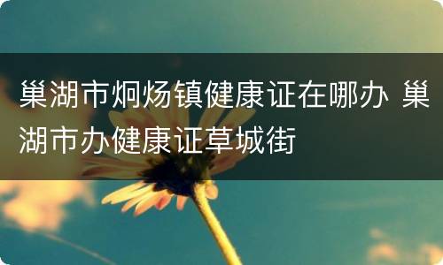 巢湖市炯炀镇健康证在哪办 巢湖市办健康证草城街